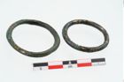 Foto von Bronzering (NHMW-PRAE-026289)